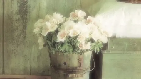 #inaraa002 #اللهم_صل_وسلم_على_نبينا_محمد #ملا_غریب_سندي #حسبی_الله_ونعم_الوکيل #💚💚💚 