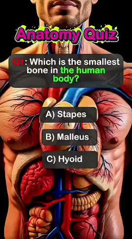 Comment How many did you get right ? #trivia #riddle #quiz#ukaccount #fyp 