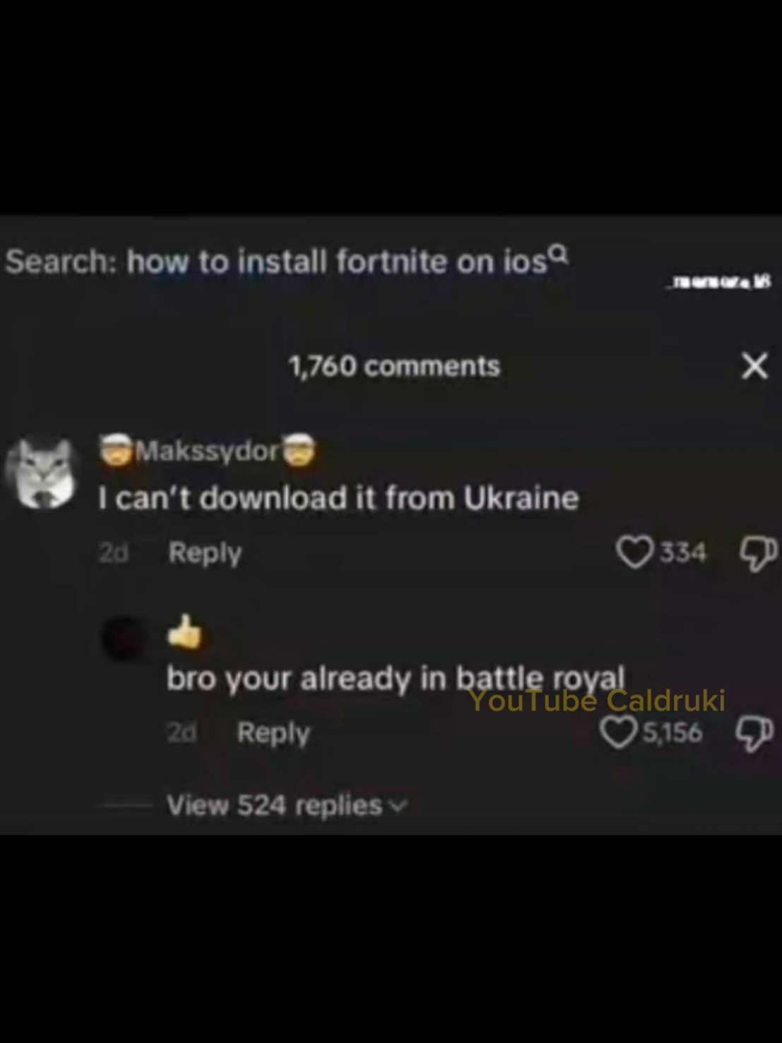 just paint the house green #caldruki #slideshow #brainrot 