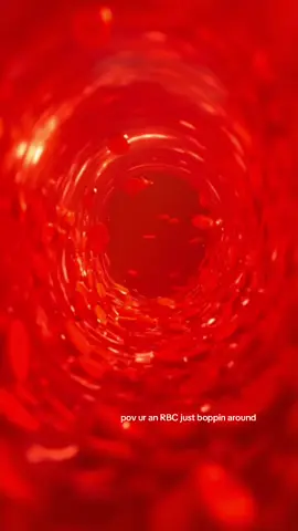 What blood flow actually looks like inside your body. Red blood cells stream through a glowing blood vessel, carrying oxygen to tissues and organs. Medical animation makes cardiovascular physiology and pathophysiology easier to understand for exams and studying. medical animation blood flow red blood cells RBC circulation oxygen transport cardiovascular physiology hemodynamics arteries and veins capillary circulation pathophysiology medical school nursing school premed USMLE Step 1 Step 2 CK NCLEX COMLEX MCAT study tool board exam prep