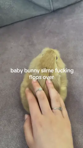 whyd she flip him upside down😭 #spirituality #bunny 