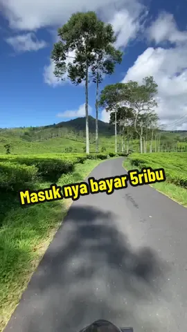 Mood jadi adem damai kl lewat jalan ciwidey rancabali #jalanciwideykebunteh  #jalanrancabaliciwidey  #ciwideyrancabali  #rancabaliciwidey  #ciwideypoenyacerita 