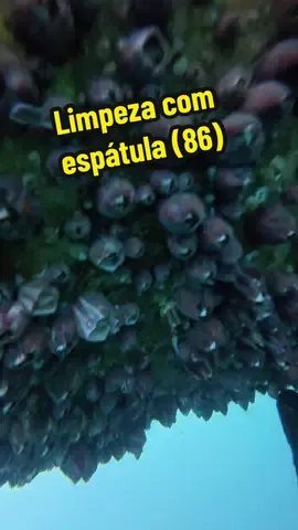 🚢 Limpeza manual de cracas do hélice para melhorar desempenho e reduzir consumo (86)  🎥 Imagens de arquivo - feitas antes da lei de 2025.#work #cleaning #propeller #satisfaction #barnacles 