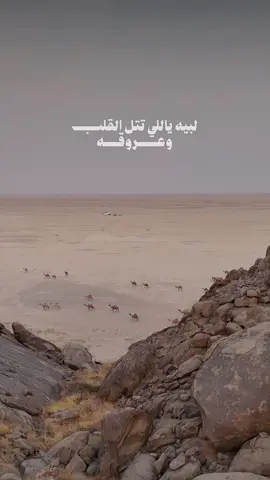 #CapCut  #لبيه ياللي تتل القلب وعروقه كله على شان يوم أنك تلبيني تلحني لح ركبٍ عجلوا سوقه أو جلّ ذودٍ مسرينه شيابيني‬⁩#fyp #foryou #قوالب_كاب_كات 