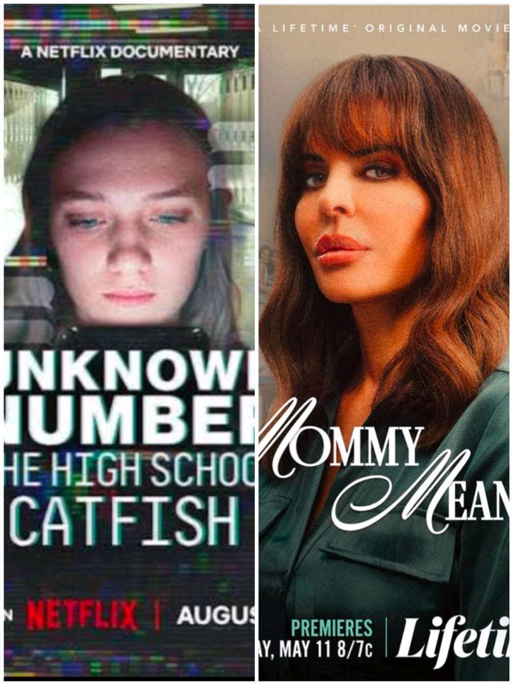 @Netflix @LifetimeTV #tvtok #documentary #foryoupage #netflixdocumentary #dramatv 