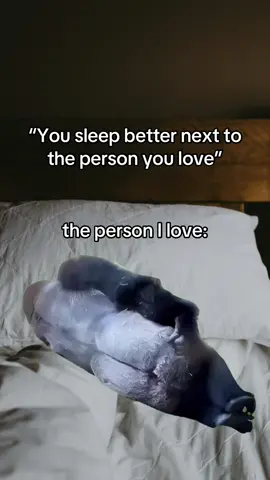 #MemeCut #Meme #MemeCut 