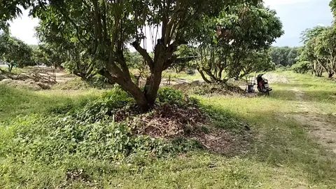 The pieces of our dream are coming together! We're thrilled to share that our new parking area, hydroponic setup, and waterway are almost complete. What's next? Once this section is done, we'll be creating our magical star-gazing camping area! We are right on schedule to launch our first farm stay accommodation by the end of September, with our unique Knockdown, Thai heritage, and minimalist duplex houses to follow. We believe in doing things right, not just fast. After all, the best things happen when they're meant to! Thank you for being on this journey with us. ESC GLOBAL CO.LTD https://share.google/VED7WQPQ472Zz0YaG #FarmLife #SustainableLiving #EcoRetreat #NatureGetaway