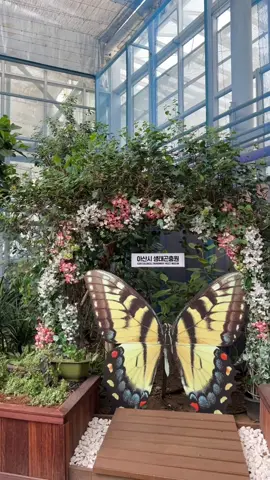 So much to explore at Asan Exological Environmental museum in South Korea #southkorea #asan #asanecologicalenvironmentalmuseum #livinginsouthkorea #southkoreatravel #koreavlog #southkoreavlog 