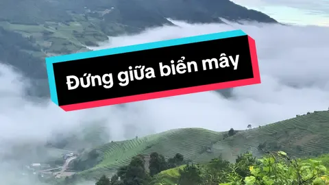 Đứng giữa biển mây, tưởng như lạc vào chốn tiên cảnh 🇻🇳#lyhumucangchai #sanmay #traveling #hanoinews #dulich 
