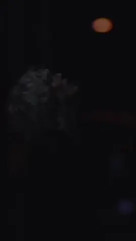 the wallows - music video out now 