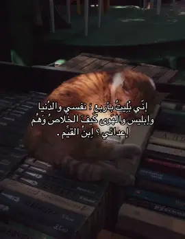 #الصلاة #quran #fypシ #foryou #prayer 