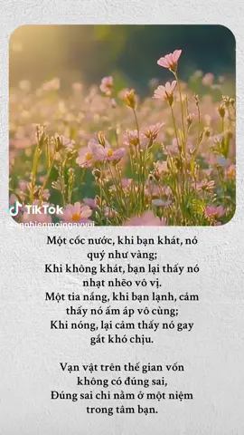 #noibinhyen #tamtinhcuocsong #toiluonlangngheban 