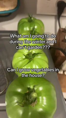 #garden #summersalmostover #gardentok #askingforafriend 