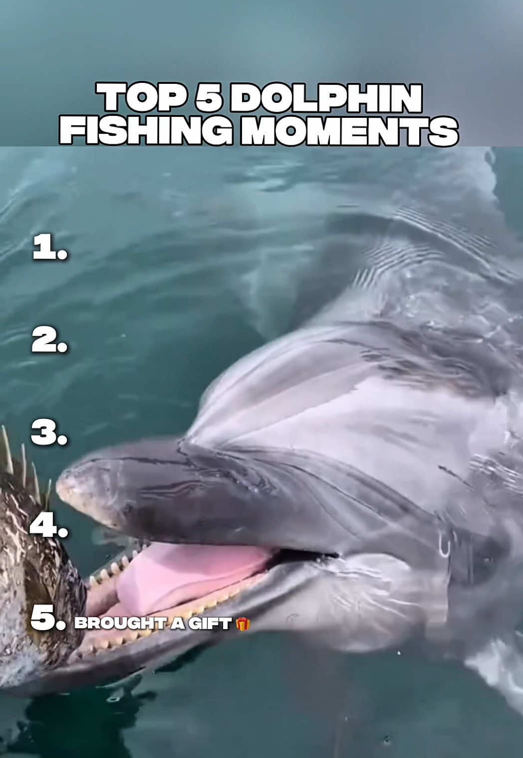 TOP 5 DOLPHIN FISHING MOMENTS  #fishing #funny #dolphins #majestic #fish 