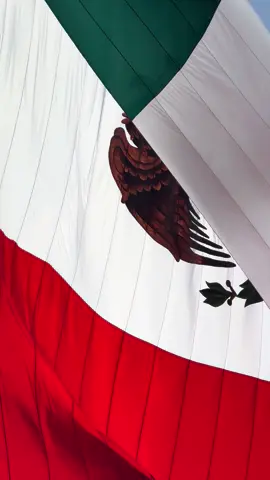 #Mexico #Bandera #orgullomexicano 