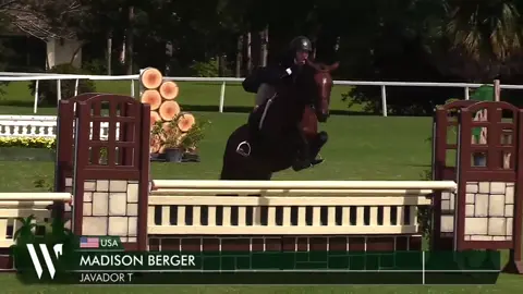 Playing in the derby field down in Wellington this past weekend. Java truly is a three ring horse. #amateurequestrian #derby #hunters 