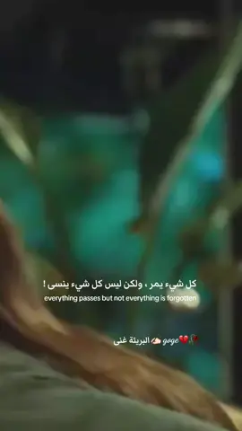 #البريئة_غنى #fypシ🖤🤍💔💔  كل شيء يمر ولكن ليس كل شيء ينسى  everything passes but not everything is forgotten 