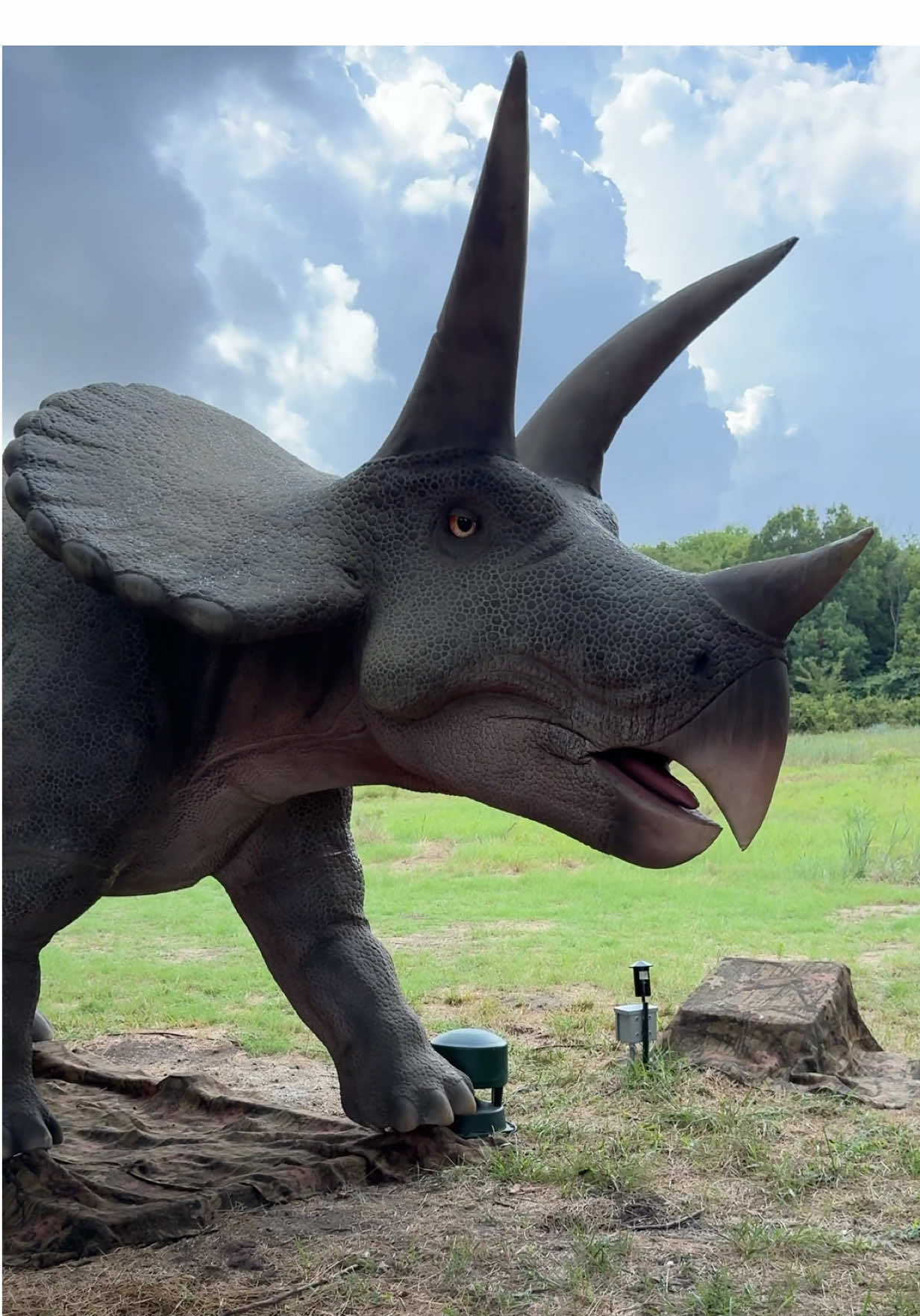 Just took my daughter and her friend to the soft opening of Dinosaurs Live! exhibit at Heard Natural Science Museum, and they had the BEST time running from one life-sized dino to the next 🦖💚, and screaming every time one roared or moved  Felt like we stepped into a mini Jurassic Park. Definitely a fun activity for the whole family! 📍 Heard Natural Science Museum & Wildlife Sanctuary 1 Nature Place, McKinney, TX 75069 If you’re looking to check it out, here’s everything you need to know 👇🏽 🦖14 life-sized animatronic dinosaurs along a half-mile nature trail 🌳New paved trail this year = stroller friendly  🦕Baby dino photo ops & fun facts at each stop 🥳Hands-on fossil digging station indoors 🗓️ Dinosaurs Live!: Sept 6, 2025 – Mar 1, 2026  ⏰ Tues–Sat: 9 AM–5 PM | Sun: 1–5 PM (closed Mondays)  🎟️Pricing: Dinosaurs Live! is included with general admission to Heard (Adult: $16; Senior (60+): $14; Child (3-12): $12; Child (2 and under): free OR you can get a annual family membership for $100 for a year of FREE general admission  Upcoming Events at Heard Museum 👇🏽 👻21+ Only Fright at the Museum (I’m personally excited for this one!) 📅 Oct 17, 6–10 PM 🎟️ Member presale: Sept 9–30 | Public: Oct 1 🎥 Outdoor movie, mini trick-or-treat trail, costume contest & more 🎃Halloween at the Heard (Family-friendly) 📅 Oct 18, 6–10 PM 🎟️ Member presale: Sept 9–30 | Public: Oct 1 🦖 Trick-or-treating along the Dinosaurs Live! trail, family movie, activities ⚡️ Just a heads up, this sells out every year. Tickets are limited! 🎄Holidays at the Heard (Family-friendly) 📅 Dec 12–14, 6–9 PM ✨ Half-mile nature trail lit with holiday lights, festive music, glimpses of dinos along the way #dallas #thingstodoindallas #dallasthingstodo #dallasevents 