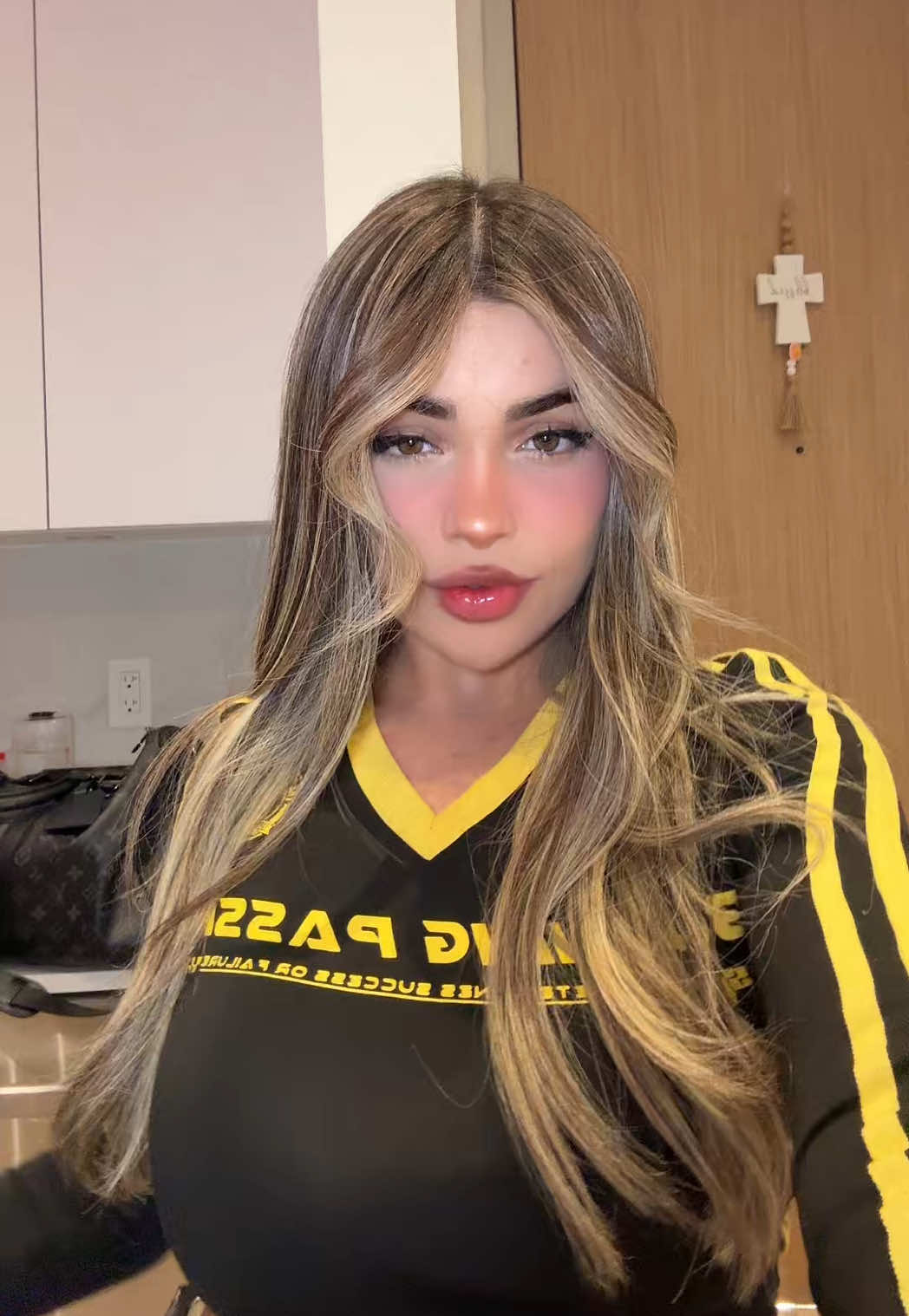 What’s better Brown or balayage? @hairbygeidyy #alinarose 