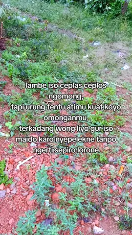 ora enek rugine dadi wong apik#story #katakata #foryoupage #foryou #fyp 