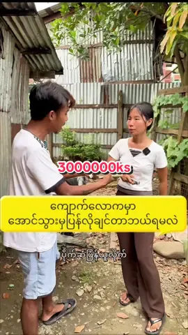 #ကျောက်လောကမှာအောင်သွားမှလိုချင်တာဘယ်ရမလဲ #ဒူးလေးရတနာ#dulay #jade 弩箭珠宝 myanmar #hpakant 