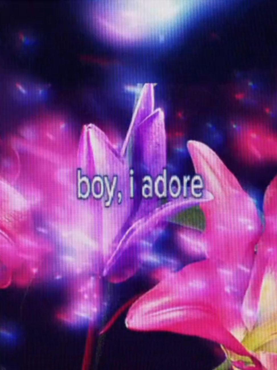 Adore you - Miley Cyrus | I was bored ;) | #adoreyou #lyrics #mileycyrus #iadoreyou #Love 