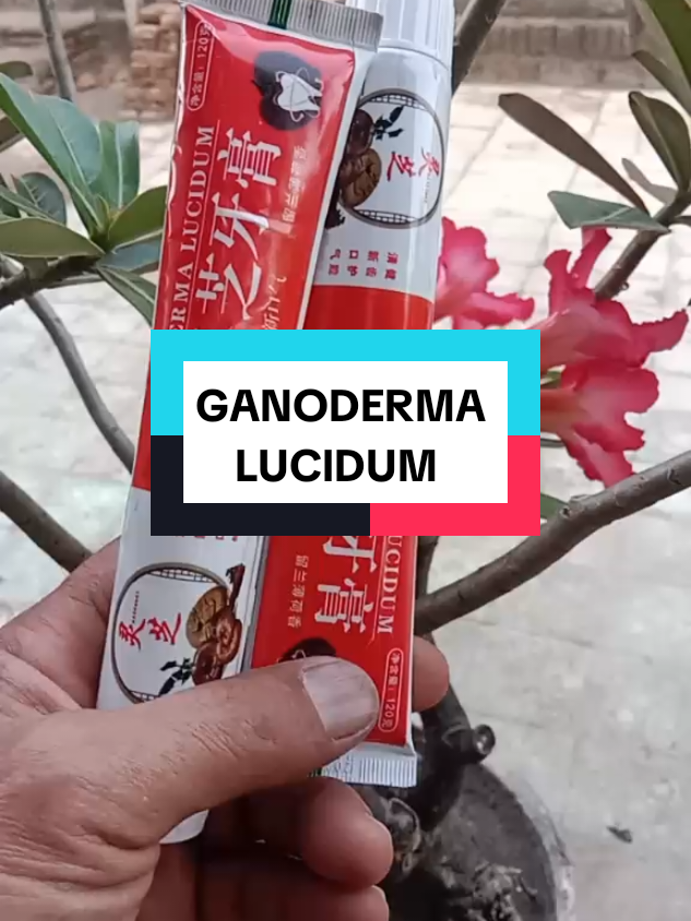 PASTA GIGI GANODERMA LUCIDUM Cocok untuk keluhan pada gigi dan mulut #pastagigi #ganodermalucidum  #u4 #fypage 
