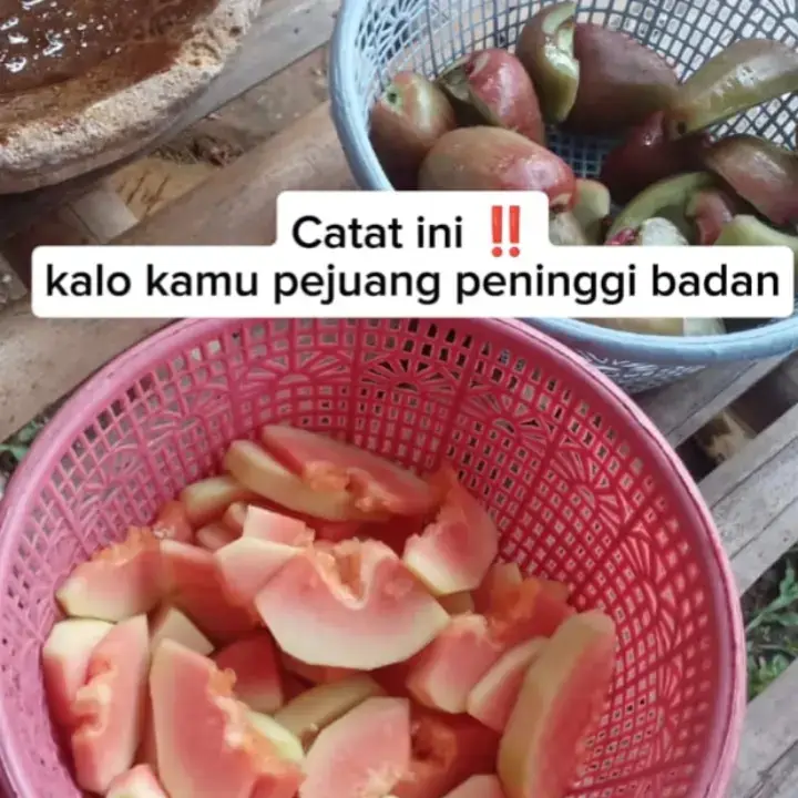 #tipstinggibadan #tipsandtricks #tinggicepat #pengalamanpribadi #perubahan 