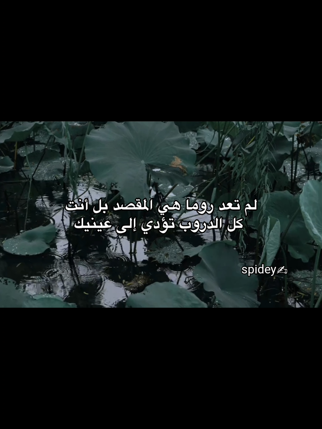 #اقتباسات #عبارات #lovequotes #spidey  #foryoupage 