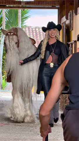 El verdadero caballo de la Barbie se llama Sterling ⭐️ Nuestro mono estuvo muy hermoso, juicioso y posudo para esta gran proyecto 🎥 #detrasdecamaras #behindthelens #barbiehorse #caballos #gypsyvanner #palomino #videoshoot 