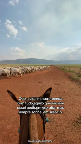 @Grupo Tavares 