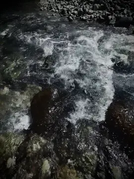 Chúng ta sẽ yêu..! #xuhuongtiktok #viral #fyp #chill #xh #caption 