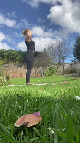 #breathe #yoga #nature #nz 