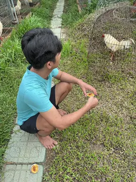 @BaoStingShop2 @Baosting_shop tặng phiếu tích điểm khi mua thuốc nha ae,1c 1 phiếu,50 phiếu lụm gà tự lựa(trống tơ,mái rớt hột)