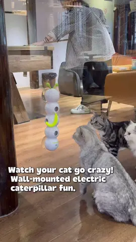 This wiggly worm triggers their inner hunter! 🐛#catsoftiktok #cats #fyp #cattoys #catlife 