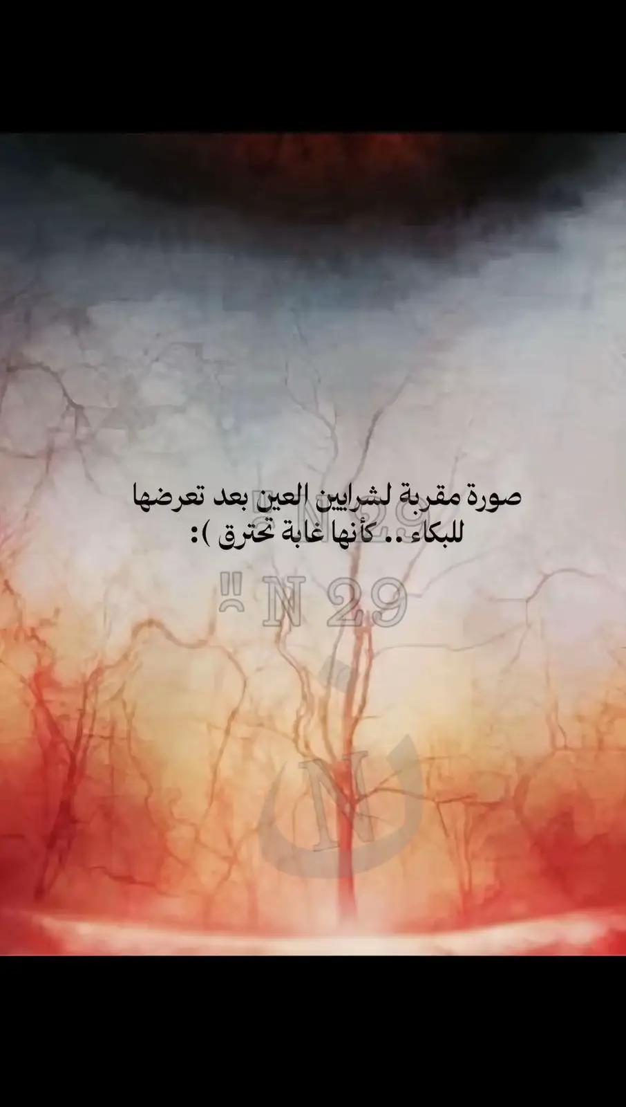 •⁠  ⁠‏ما عاد ييرضيّ خاطري شي إلا انت  ‏و ماعاد يشببّع ناظري غيير شوفتک🚶‍♂️‍➡️ .#طبرجل_القريات_تبوك #حزن_شاب💔 #ذكريات_لاتموت #اغرقتني_بالحب_ماخفت_ربك #fyp 