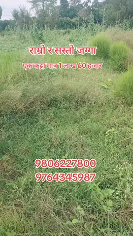 Land for sale \सस्तो र राम्रो जग्गा सालभोरी दांङ देउखुरी मा #dangdeukhuri #rajpur #dang 