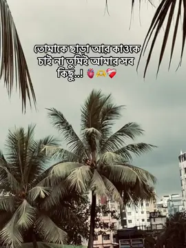 তোমাকে ছাড়া আর কাউকে চাই না তুমি আমার সব কিছু 🫀🫶❤️‍🩹