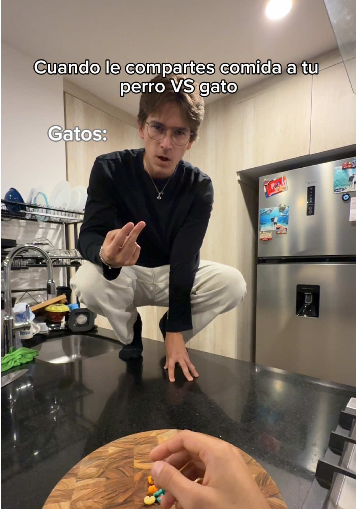 Me cae mejor el perro la verdad  (IG:bicho_orozco) #fypシ゚ #bichoorozco #humor #perros #gatos 