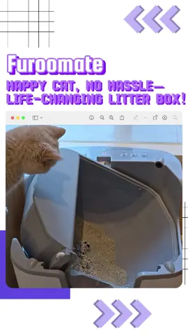 Effortless litter cleaning #furoomate #selfcleaninglitterbox #cat #catlife #kitty 