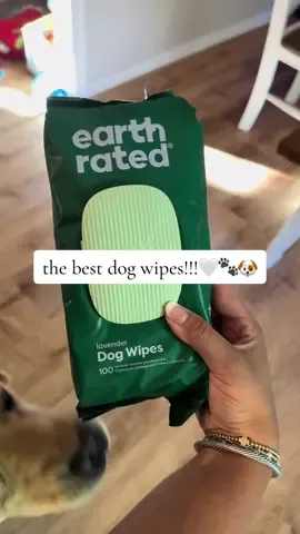 the best dog wipes for your pup!!! they smell amazing and come in handy for when your dog has played in the dirt in the backyard!!!🤍🐶#dogsoftiktok #labradorretriever #labrador #earthrated #creatorpilotprogram 
