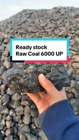 Ready stock batubara raw coal kalori 6000up, siap antar !! #coal #tambangbatubara #tambang #truck 