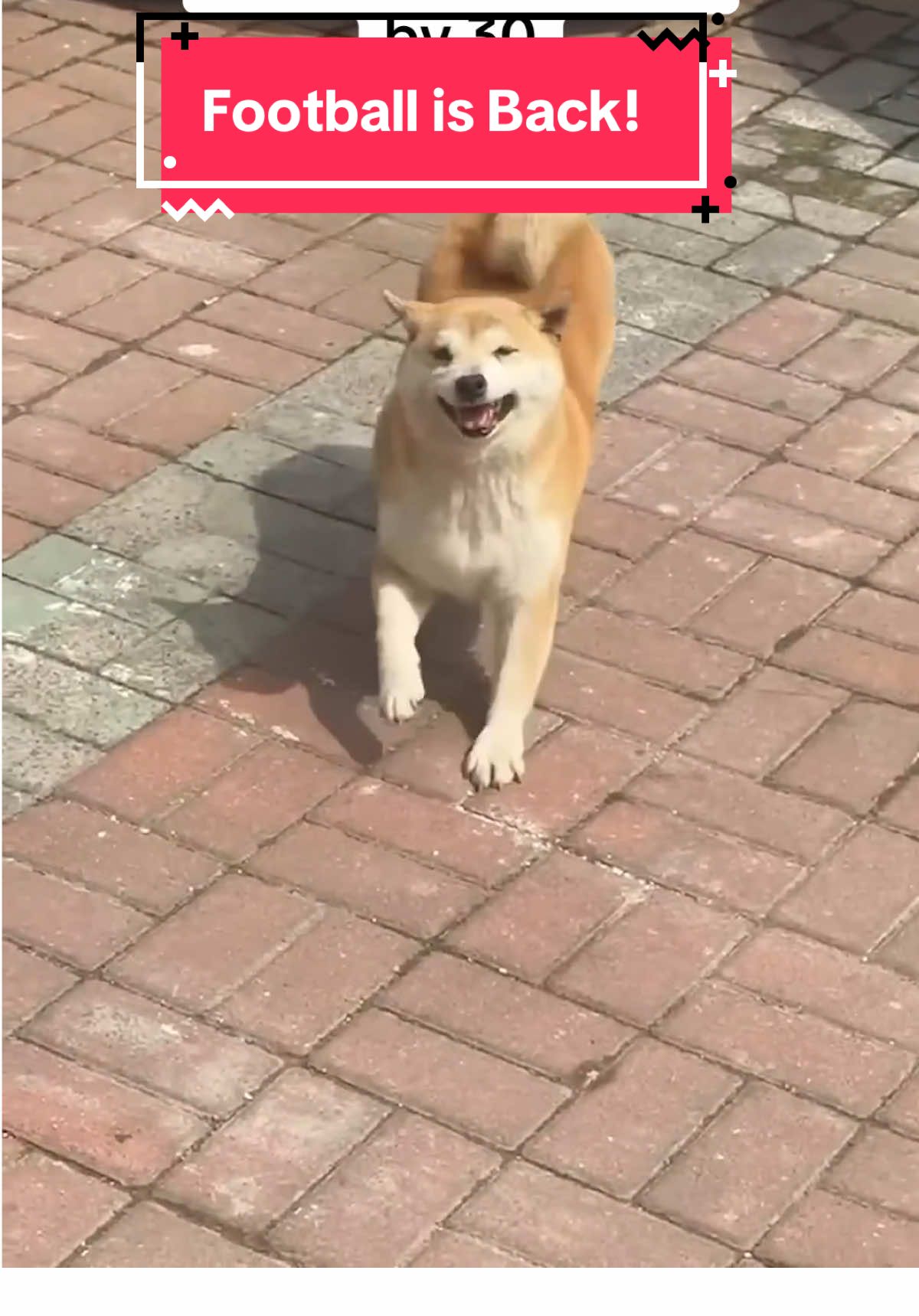 Make sure yall save this video and think happy thoughts 🤣🤣🤣 #fyp #meme #memecut #footballmeme #nflmemes 