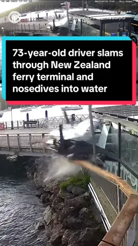 A 73-year-old woman was filmed driving through a bike shelter at a New Zealand ferry terminal in Auckland on Aug. 20, sending glass and metal flying before her SUV nosedived into the water below. Bystanders were able to throw life rings into the water and help the woman out of the water before the car sank. According to local reports, the woman received an infringement notice for having excess breath alcohol of 290 mcg/L. #driver #caraccident #auckland #newzealand 