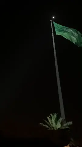 الراس مرفوع والرايه سعوديه 💚💚🇸🇦 #saudiarabia #محمد_بن_سلمان #محمد_بن_سلمان_فخرنا_وعزنا💚👑🇸🇦 #السعودية #المملكة_العربية_السعودية 