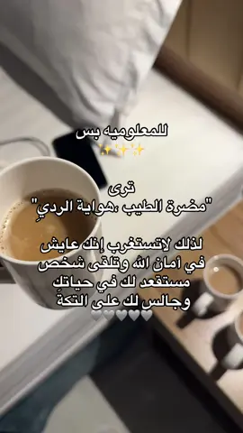 ترى هذي مهمتهم في الحياه ينكدون على الأجواد🩶#fypシ #viral #explor #ksa #السعودية 