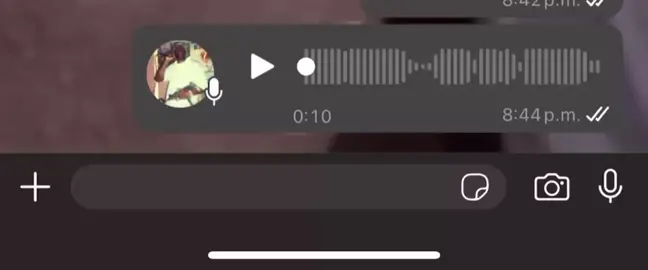 Donde manda capitán, no manda marinero #humor #dominado #escape #paratii #paratiiiiiiiiiiiiiiiiiiiiiiiiiiiiiii 