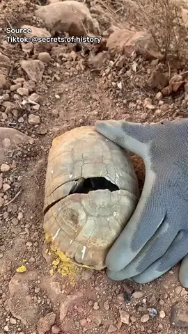 Harta tersembunyi yang ditemukan dalam cangkang kura-kura 🐢✨ #fyp #foryou #foryoupage #hidden #treasure #found #founded #turtle #turtles #turtletok #turtlesoftiktok #shell #antonioarsy 