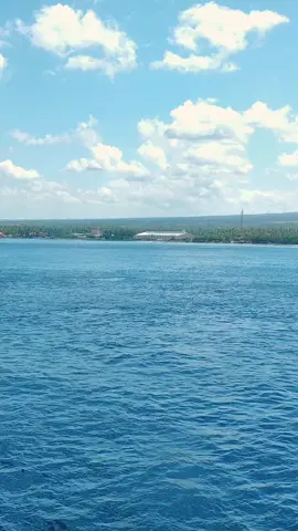 si adek kmp. cemerlang with kmp. tuku pratama 3888 #kmp liputan XII #selat bali #fypシ 