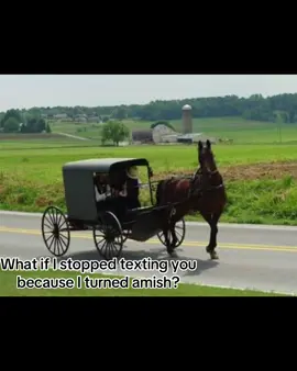 My late night thoughts  #amish #foryou 